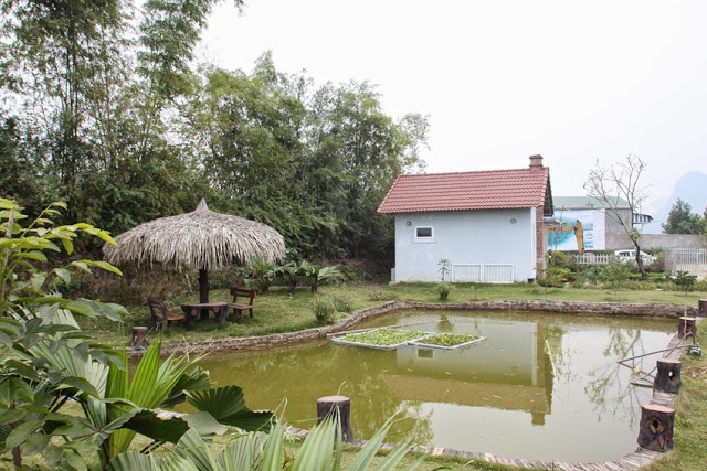 Đất[-]vườn,[-]ao[-]được[-]xác[-]định[-]như[-]thế[-]nào?